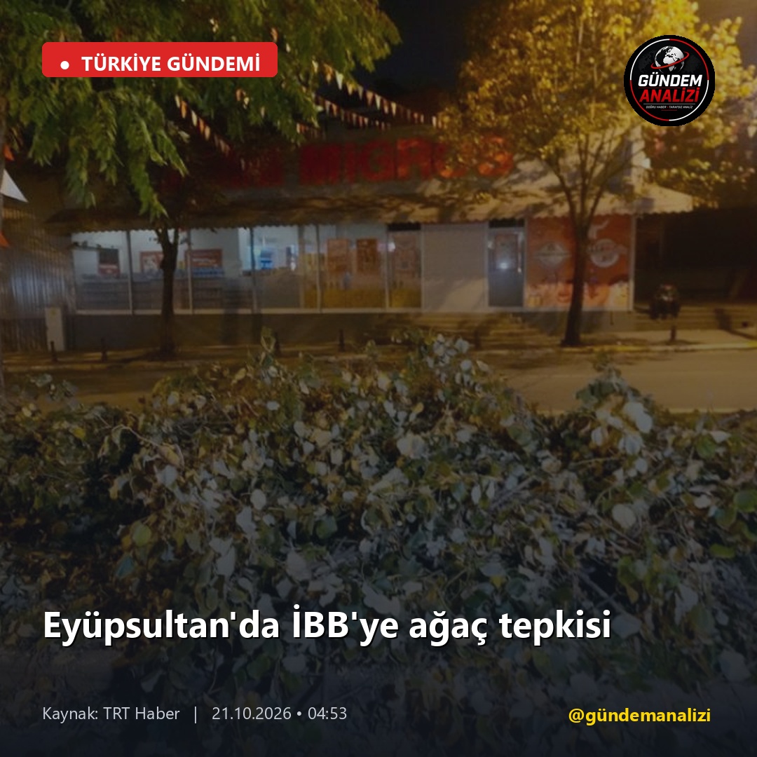 Eyüpsultan'da İBB'ye ağaç tepkisi