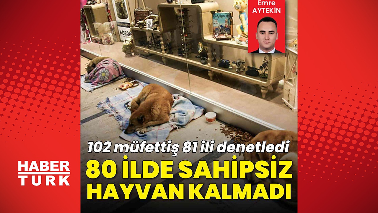 80 ilde sokakta sahipsiz hayvan kalmadı