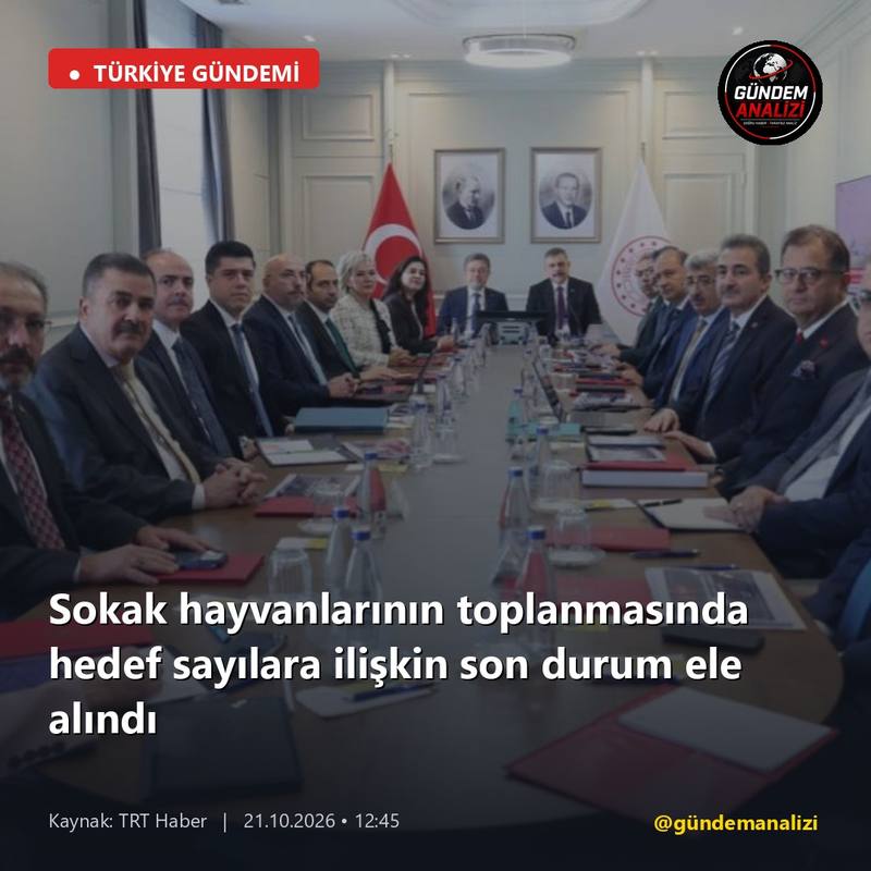 Sokak hayvanlarının toplanmasında hedef sayılara ilişkin son durum ele alındı