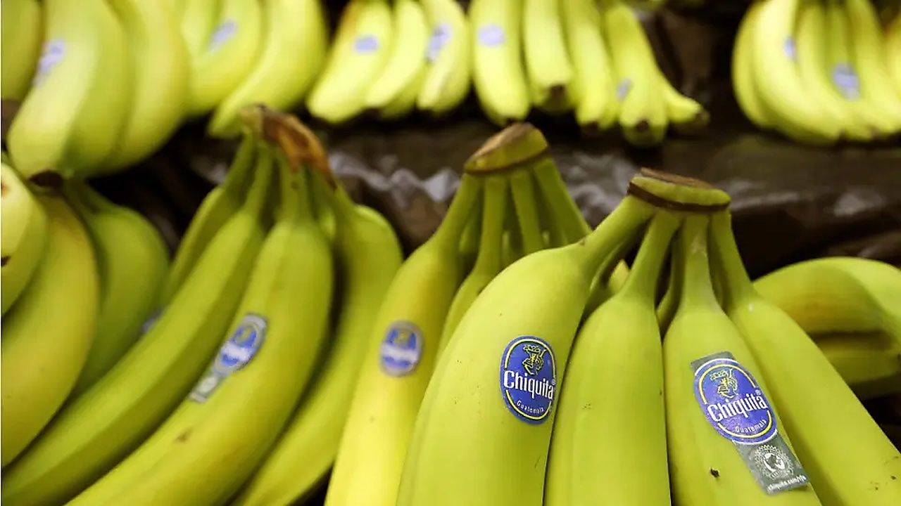 Chiquita, muz fiyatlarının yükselmesini bekliyor