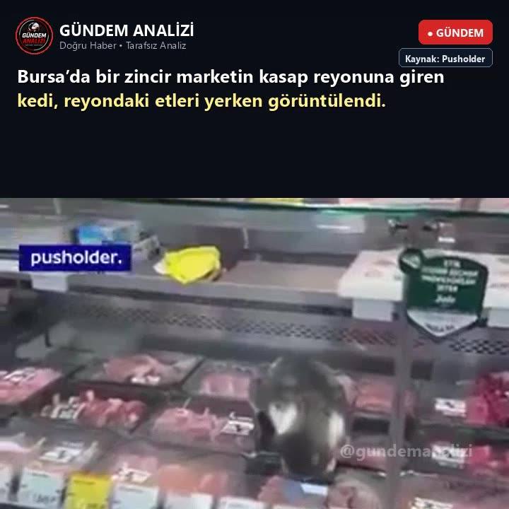 Bursa’da bir zincir marketin kasap reyonuna giren kedi, reyondaki etleri yerken görüntülendi.